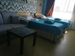 Отель Hotel Villa Vanessa Силтакюла Стандартный двухместный номер с 2 отдельными кроватями-8